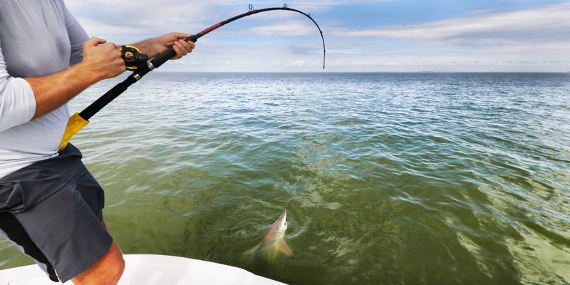 Florida Fishing Charter | 6 Hour Shark Fishing Trip - St. Petersburg, FL